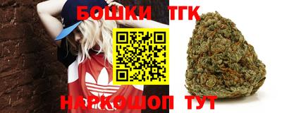 стаф Нальчик