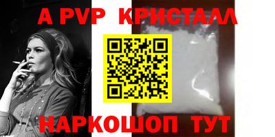 стаф Нальчик