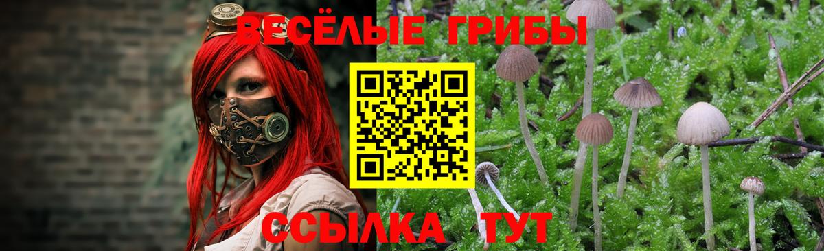 Галлюциногенные грибы мицелий Тихорецк