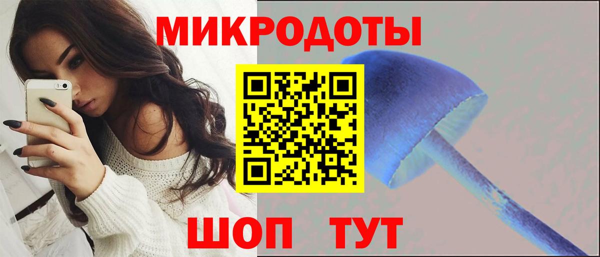 Галлюциногенные грибы MAGIC MUSHROOMS  Вход с VPN  Тихорецк  цены   Галлюциногенные грибы мицелий 