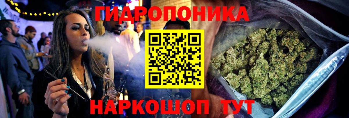 Тихорецк  Канабис SATIVA & INDICA  МАРИХУАНА семена  Канабис AK-47  Вход с VPN  Конопля планчик 